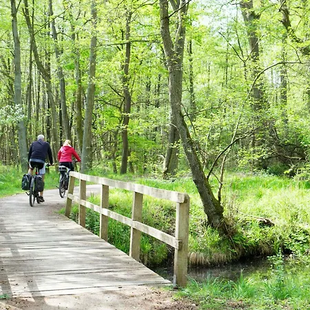 De Doerpkieker - Familienparadies Am Torgelower *